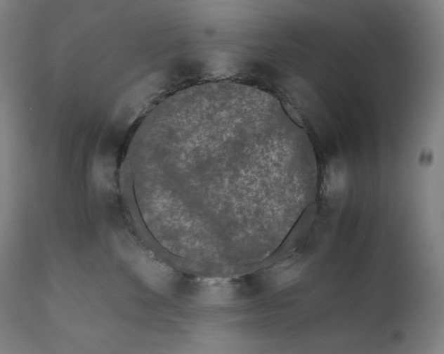 X0000111010524200907101319