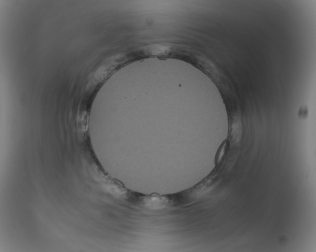 X0000111010525200907101319