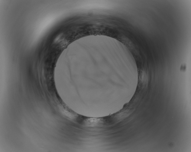 X0000111010526200907101319