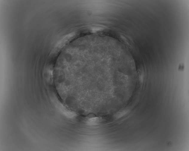 X0000111010527200907101319