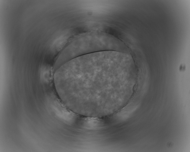X0000111010528200907101319