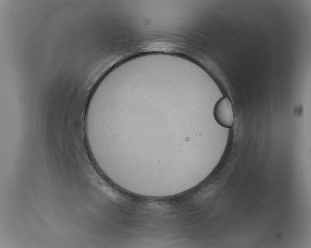 X0000111010529200907101318
