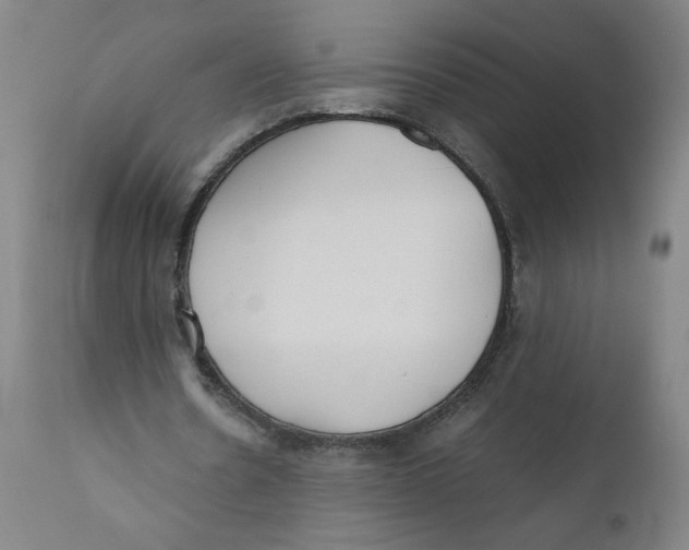 X0000111010530200907101318