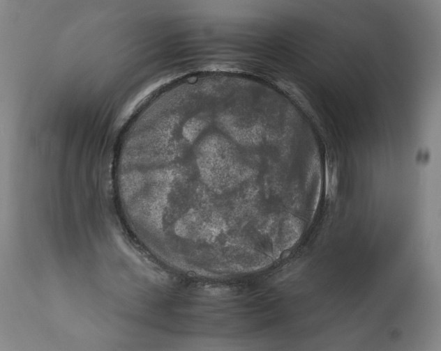 X0000111010531200907101318