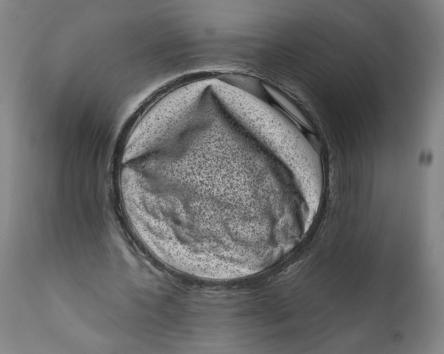 X0000111010532200907101318