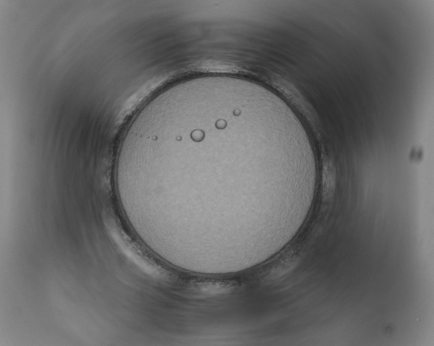 X0000111010533200907101318