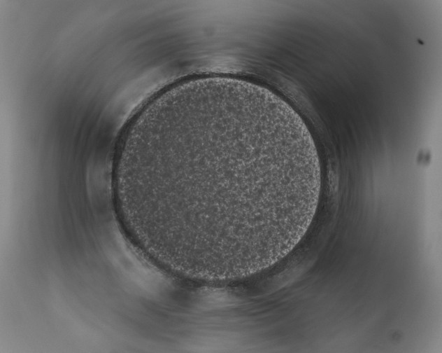 X0000111010534200907101318