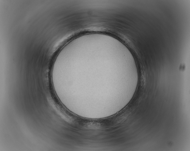 X0000111010535200907101318