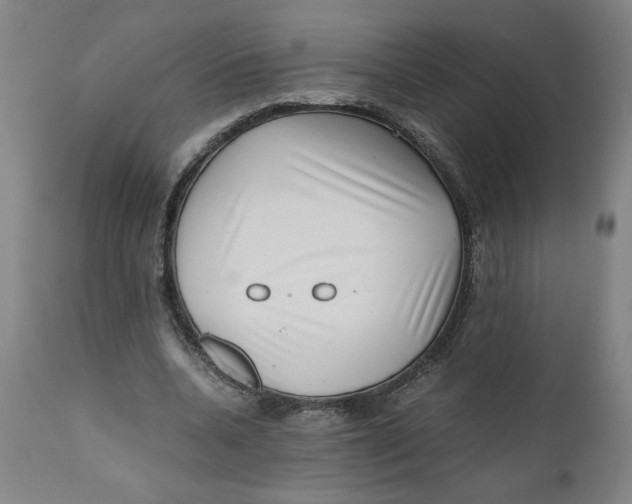 X0000111010536200907101318