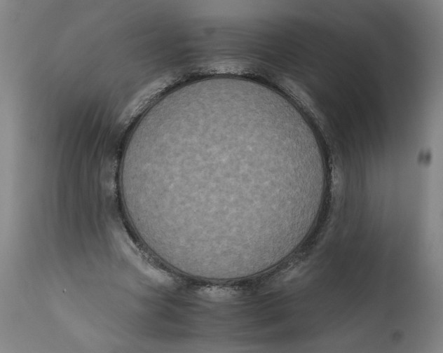 X0000111010537200907101318