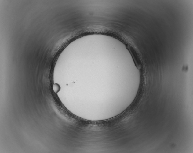 X0000111010538200907101318