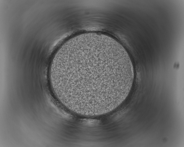 X0000111010539200907101318