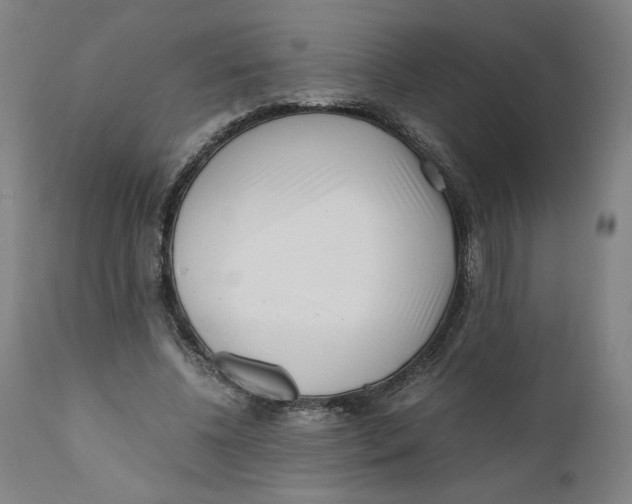 X0000111010540200907101318