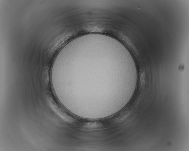 X0000111010541200907101318