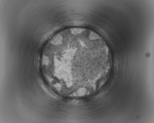 X0000111010542200907101318