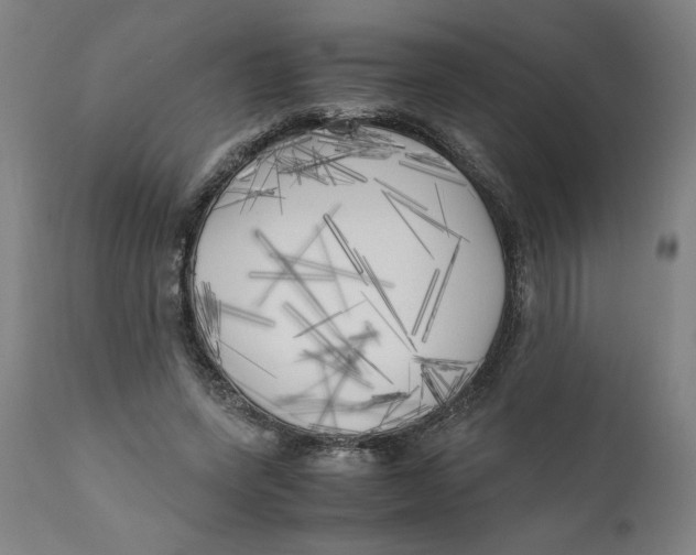 X0000111010543200907101318