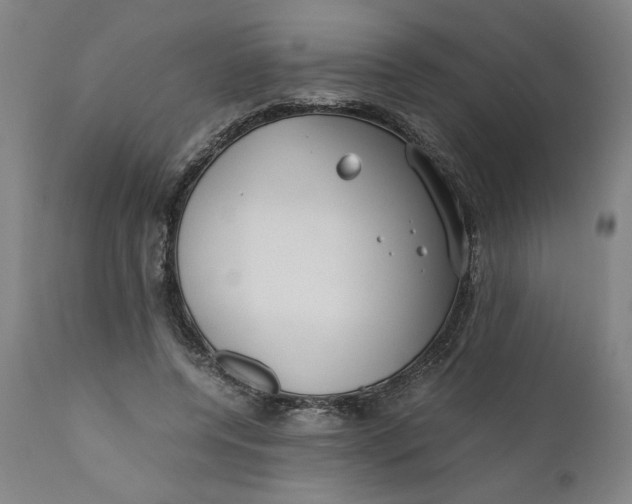 X0000111010544200907101318