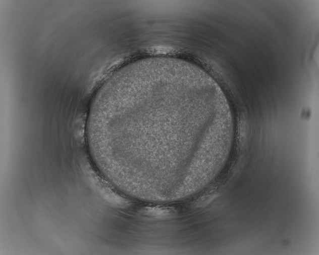 X0000111010545200907101318