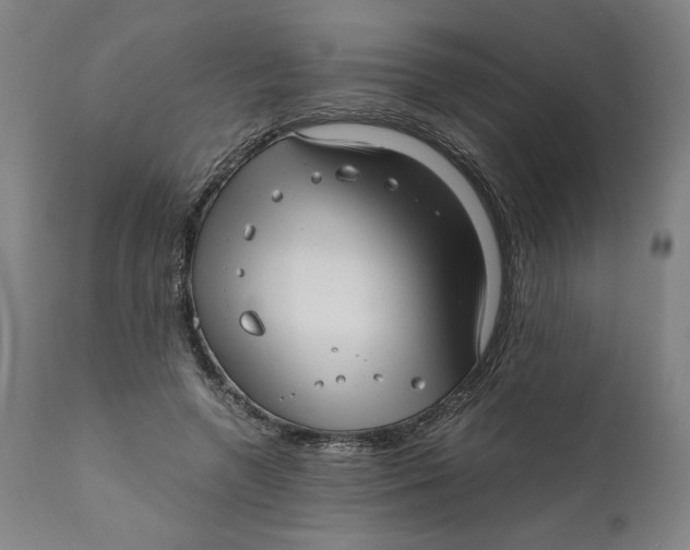 X0000111010546200907101318