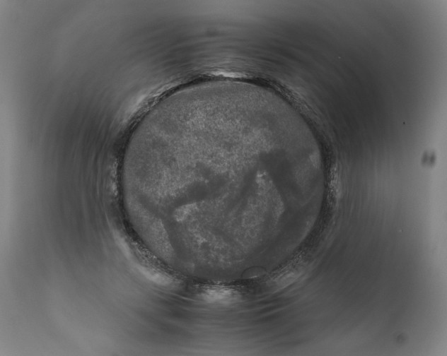 X0000111010547200907101318