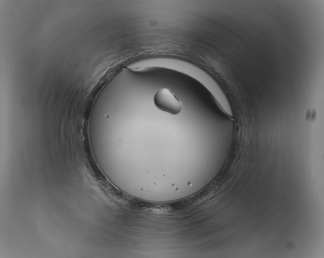 X0000111010548200907101318