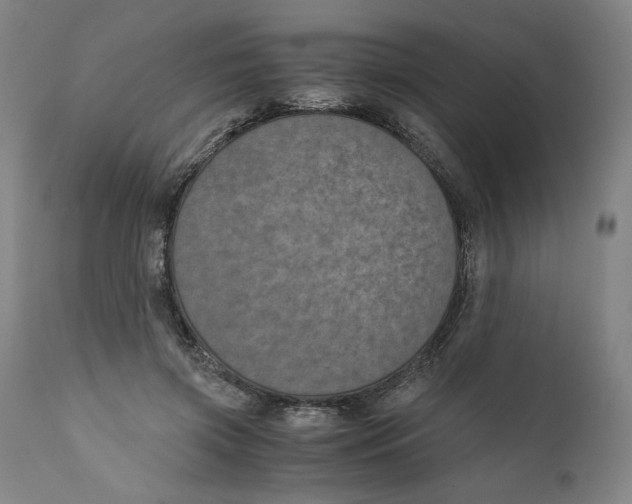 X0000111010549200907101318