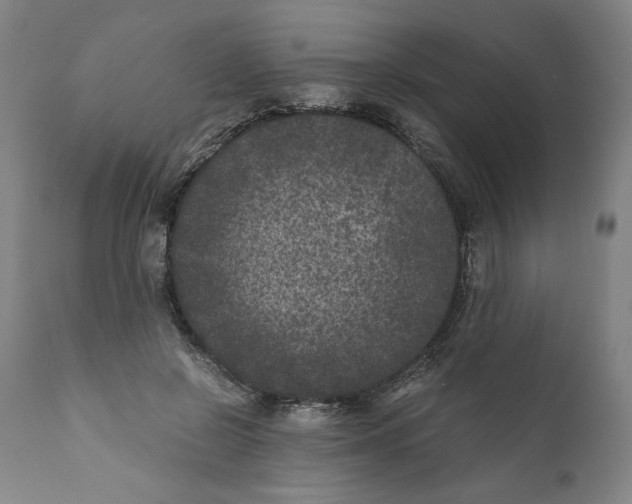 X0000111010550200907101318