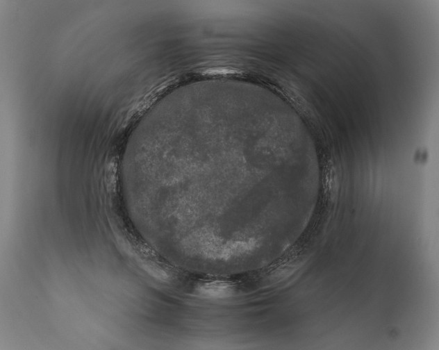 X0000111010551200907101318