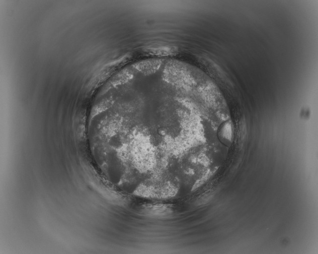 X0000111010553200907101318