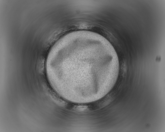 X0000111010554200907101318