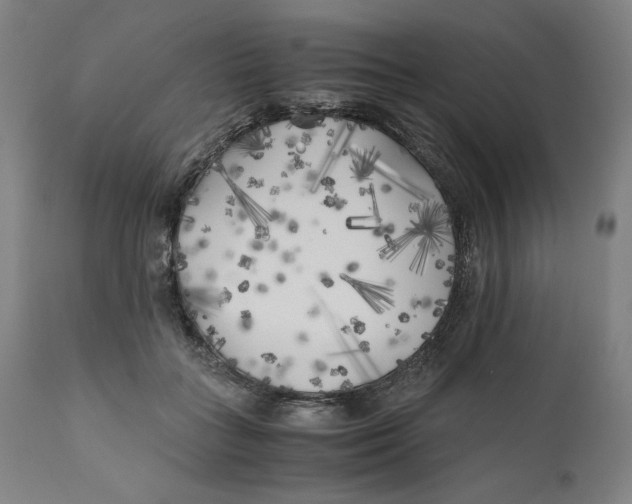 X0000111010555200907101318