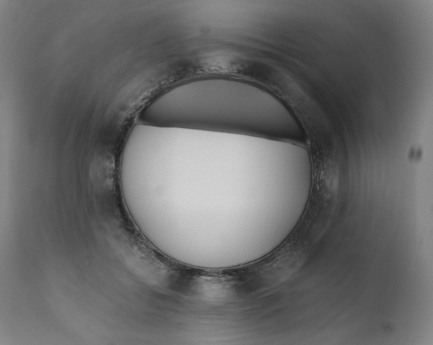 X0000111010556200907101318