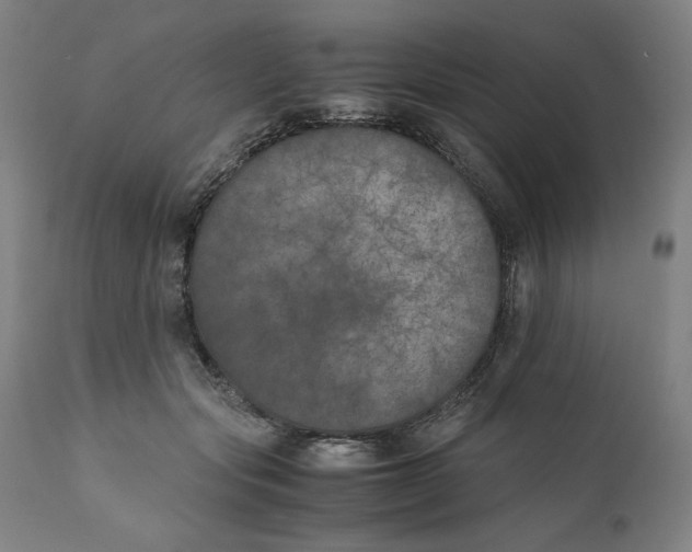 X0000111010557200907101318