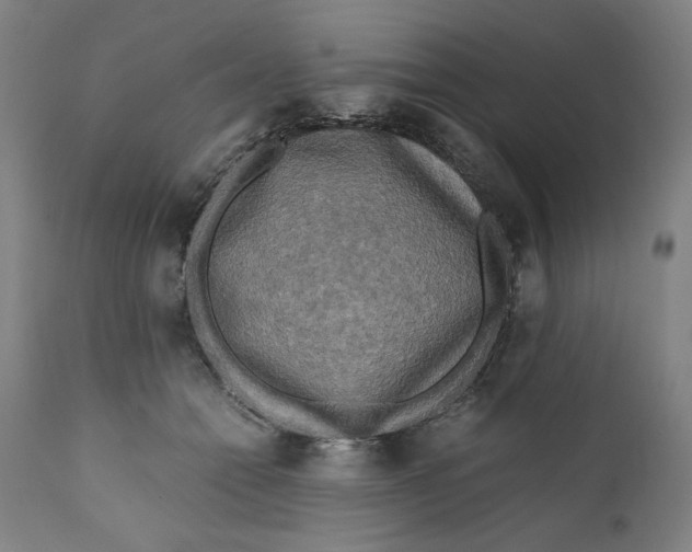 X0000111010558200907101318