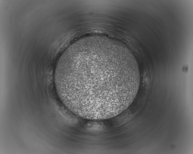 X0000111010559200907101318