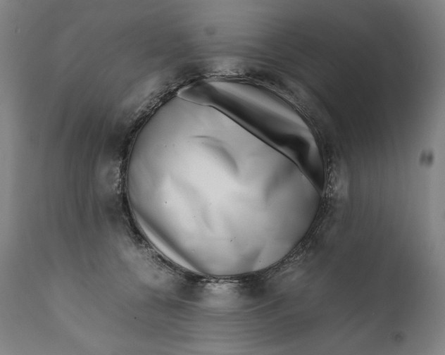 X0000111010560200907101318