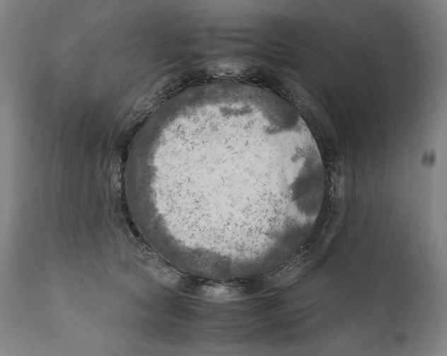 X0000111010561200907101318
