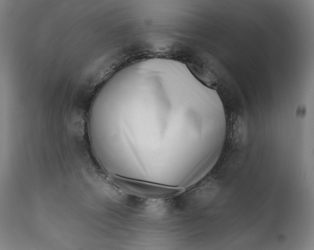 X0000111010562200907101318