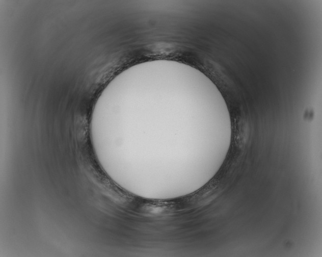 X0000111010563200907101318