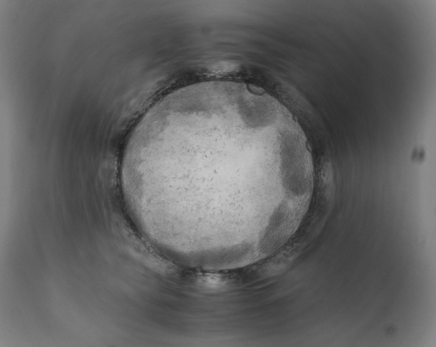 X0000111010565200907101318