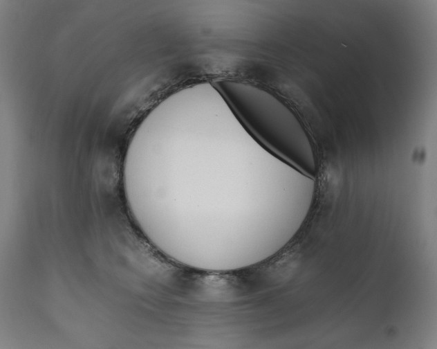 X0000111010566200907101318