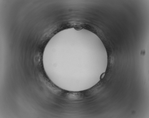 X0000111010567200907101318