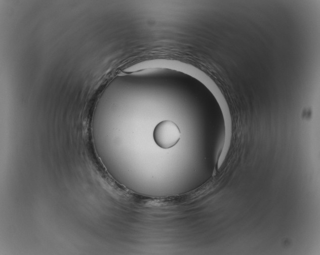 X0000111010568200907101318