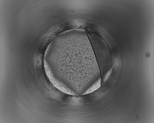 X0000111010570200907101318