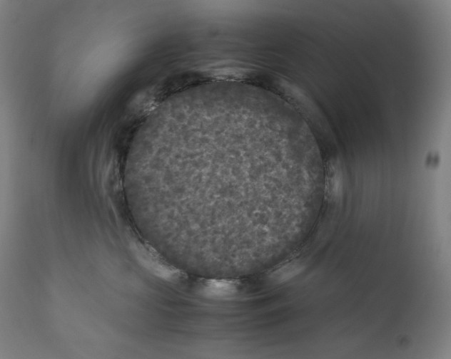 X0000111010573200907101318