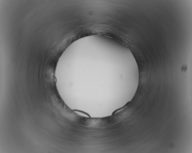 X0000111010575200907101319