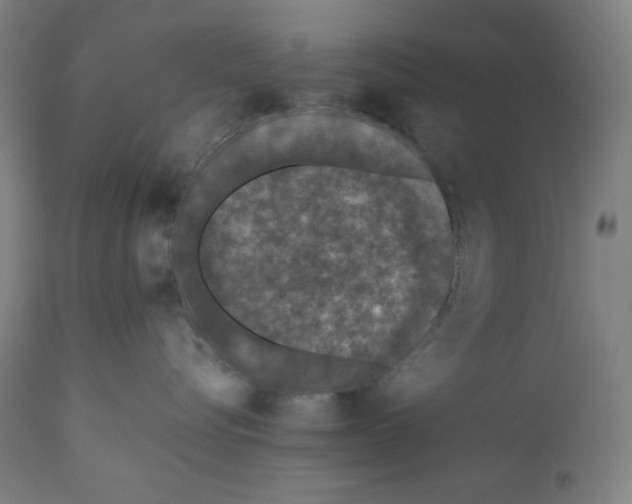 X0000111010576200907101319