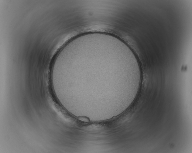 X0000111010578200907101318