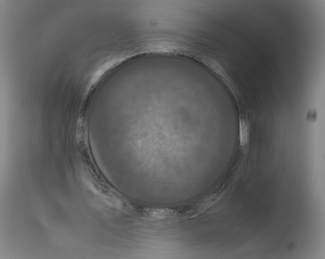 X0000111010579200907101318