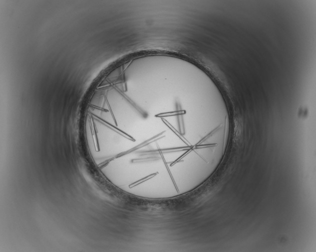 X0000111010580200907101318